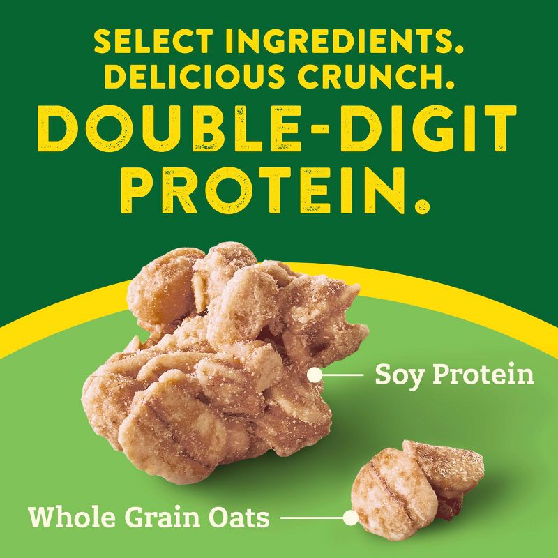 Nature Valley Blueberry Muffin Protein Granola 11oz Whole Grain